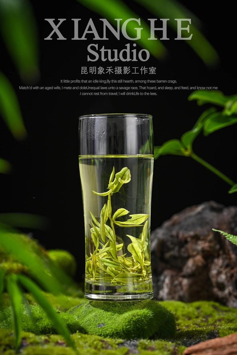 电商潮涌：海阳电子商务服务行业洞察